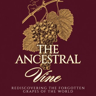 The Ancestral Vine — Rediscovering the forgotten grapes of the world
